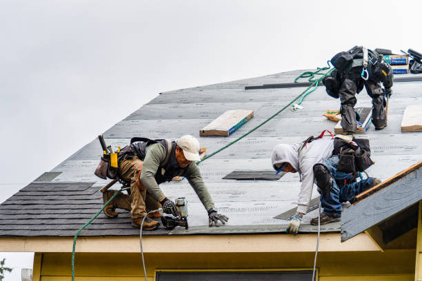 Professional Gutter Installation technician working in Plantersville, TX